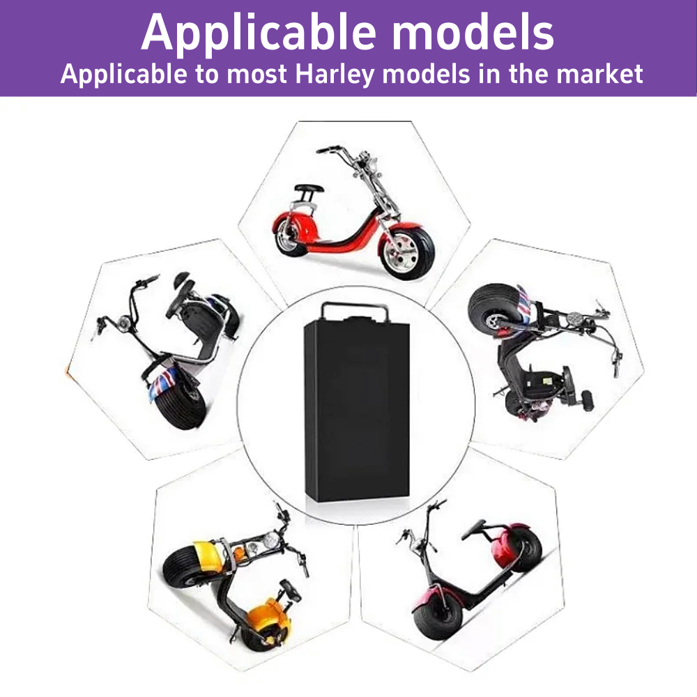60V Harley Elektrikli Araç Lit - 60V 30Ah Electric Scooter Battery incelemesi ve fiyatı